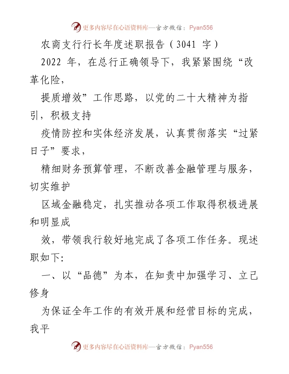 [述职报告] 年度总结 - 农商支行行长2022年度述职报告_1.docx_第1页