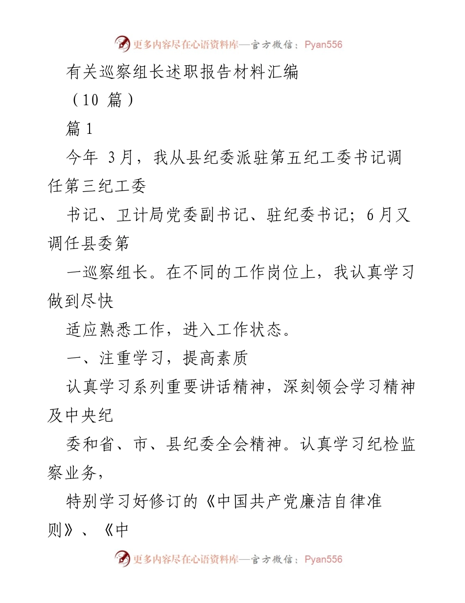 [述职报告] 巡察工作 - 巡察组长年度述职总结与工作回顾.docx_第1页