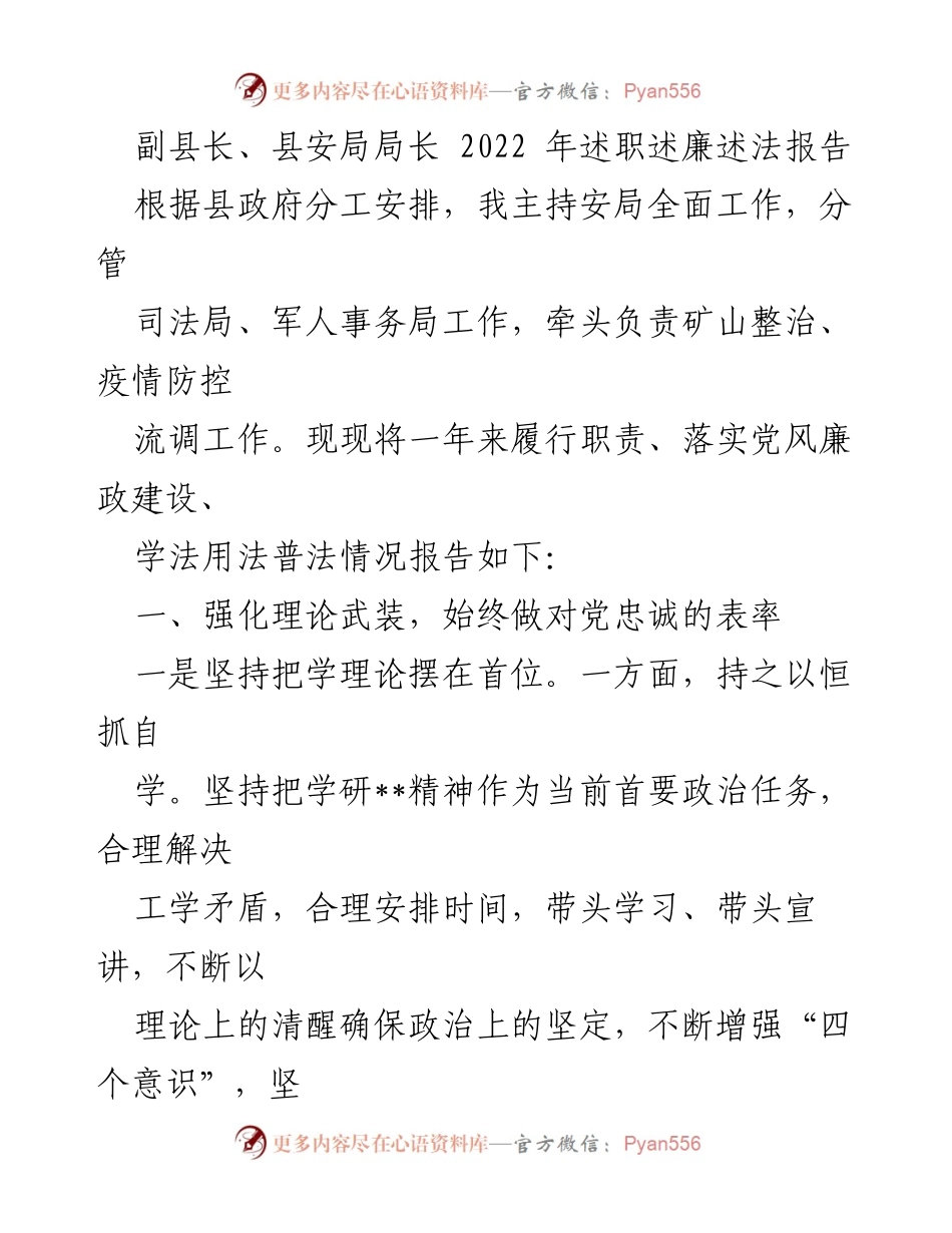 [述职报告] 政府工作 - 副县长述职述廉述法报告2022年.docx_第1页