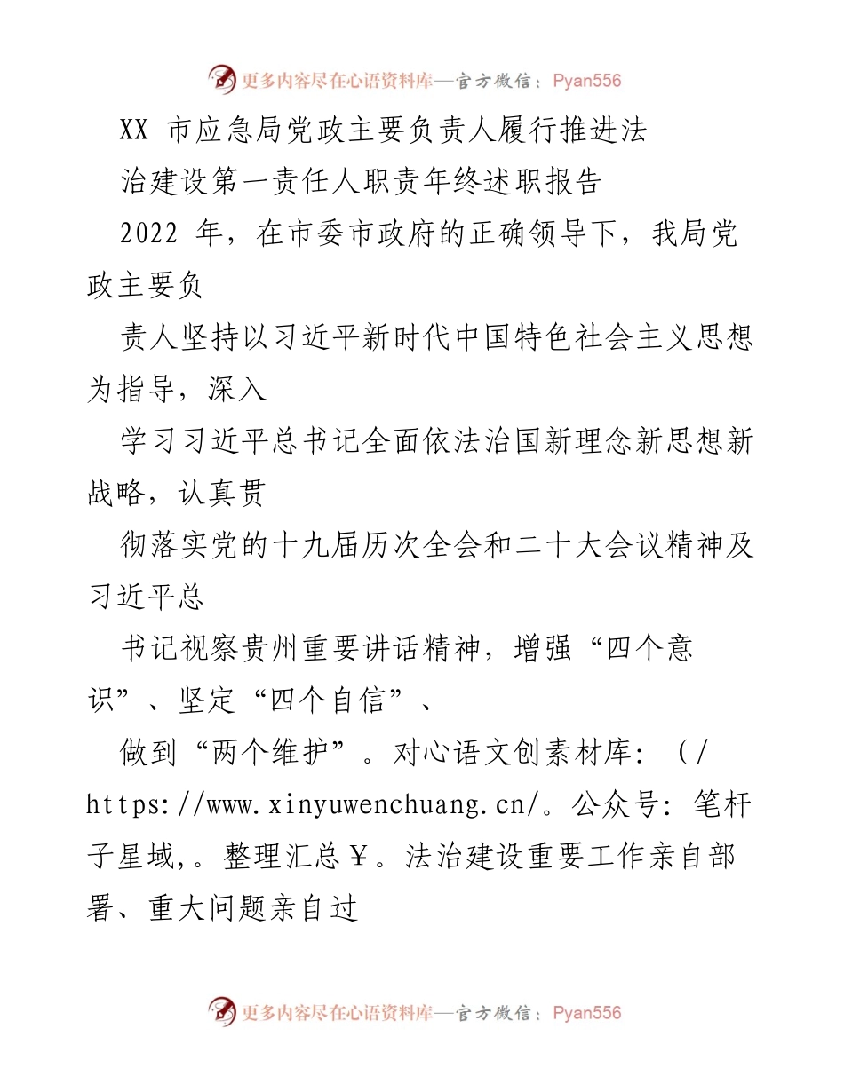 [述职报告] 年终总结 - XX市应急局法治建设责任履行述职报告.docx_第1页