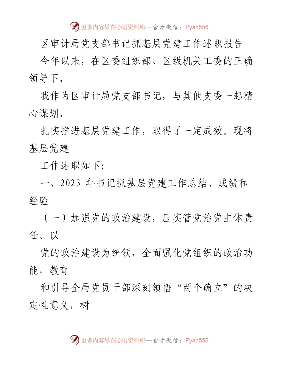 [述职报告] 基层党建工作 - 区审计局党支部书记抓党建工作述职报告.docx_第1页