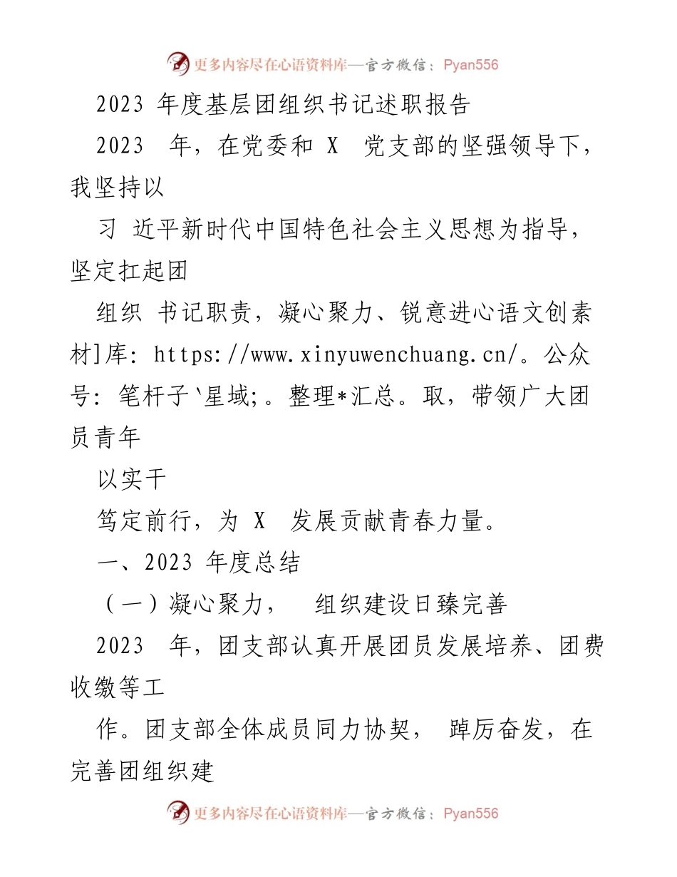 [述职报告] 基层团组织 - 2023年度团组织书记述职总结与反思.docx_第1页