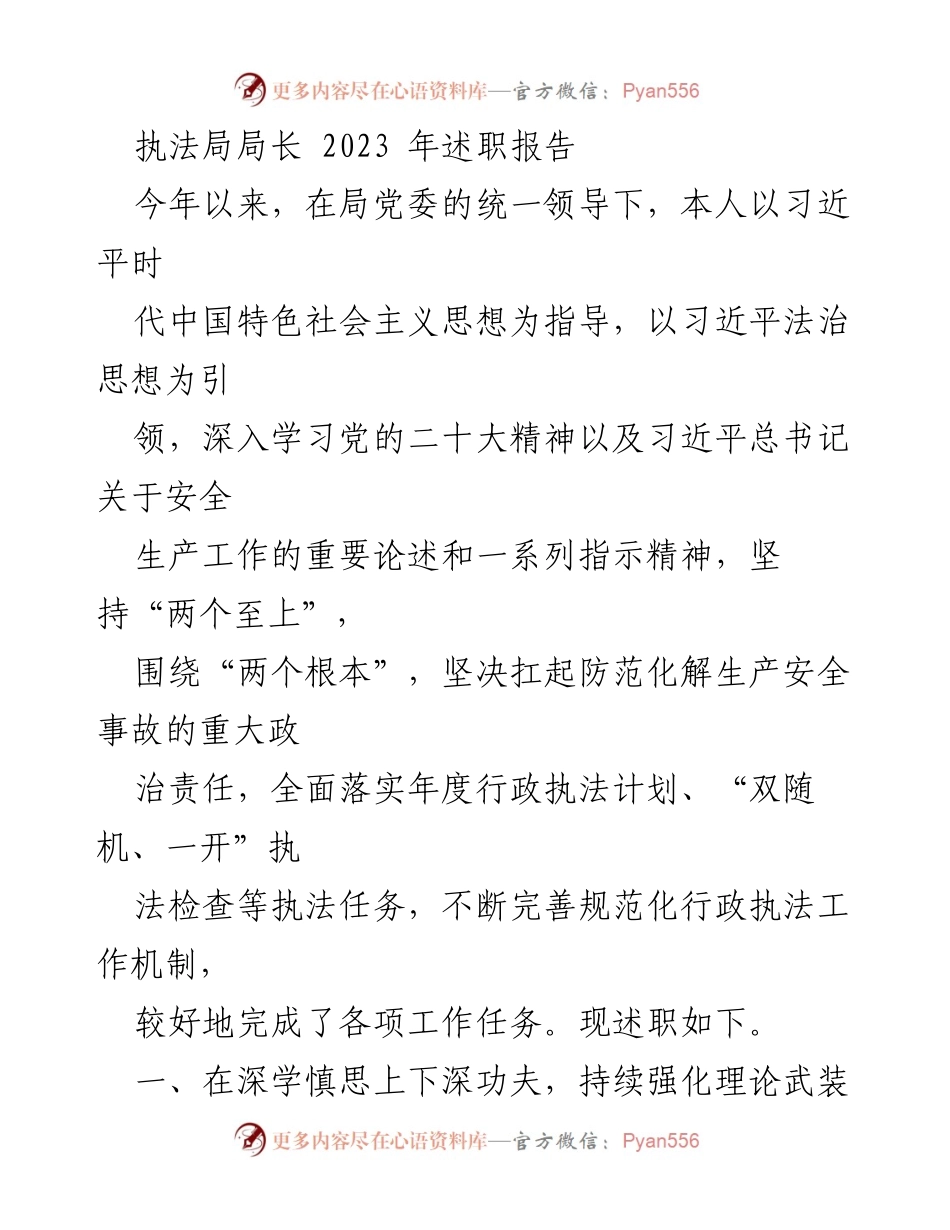 [述职报告] 执法局 - 2023年执法局局长述职总结报告.docx_第1页