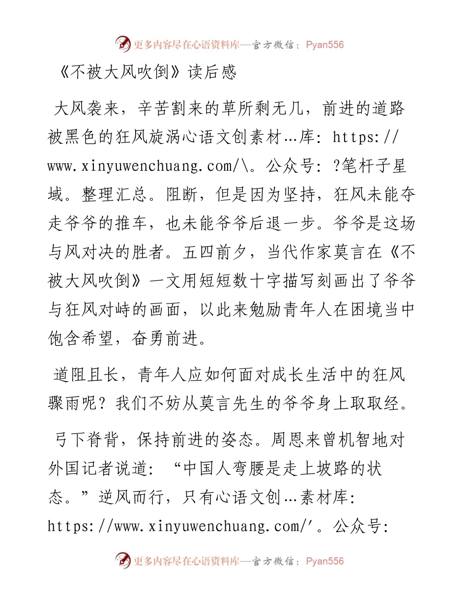 《不被大风吹倒》读后感.docx_第1页