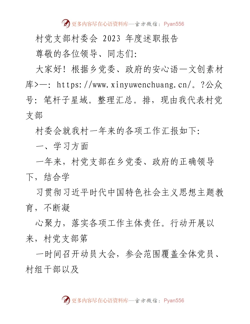 [述职报告] 村党支部会议 - 2023年度工作总结与发展规划.docx_第1页