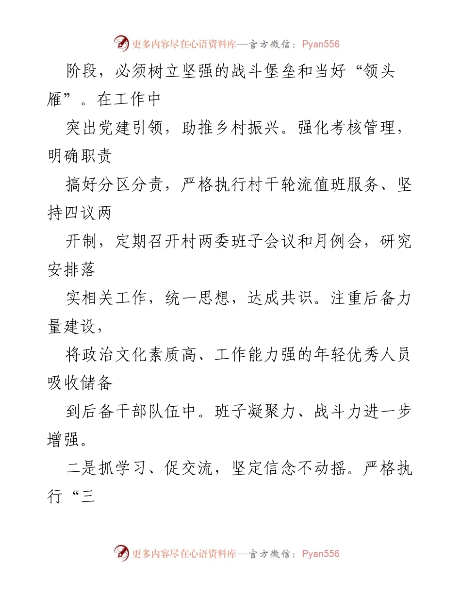 [述职报告] 村级工作总结 - xx村党总支部年度工作述职报告.docx_第2页