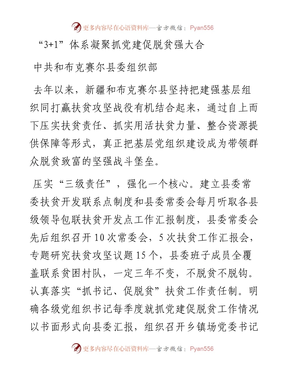 “3+1”体系凝聚抓党建促脱贫强大合.docx_第1页