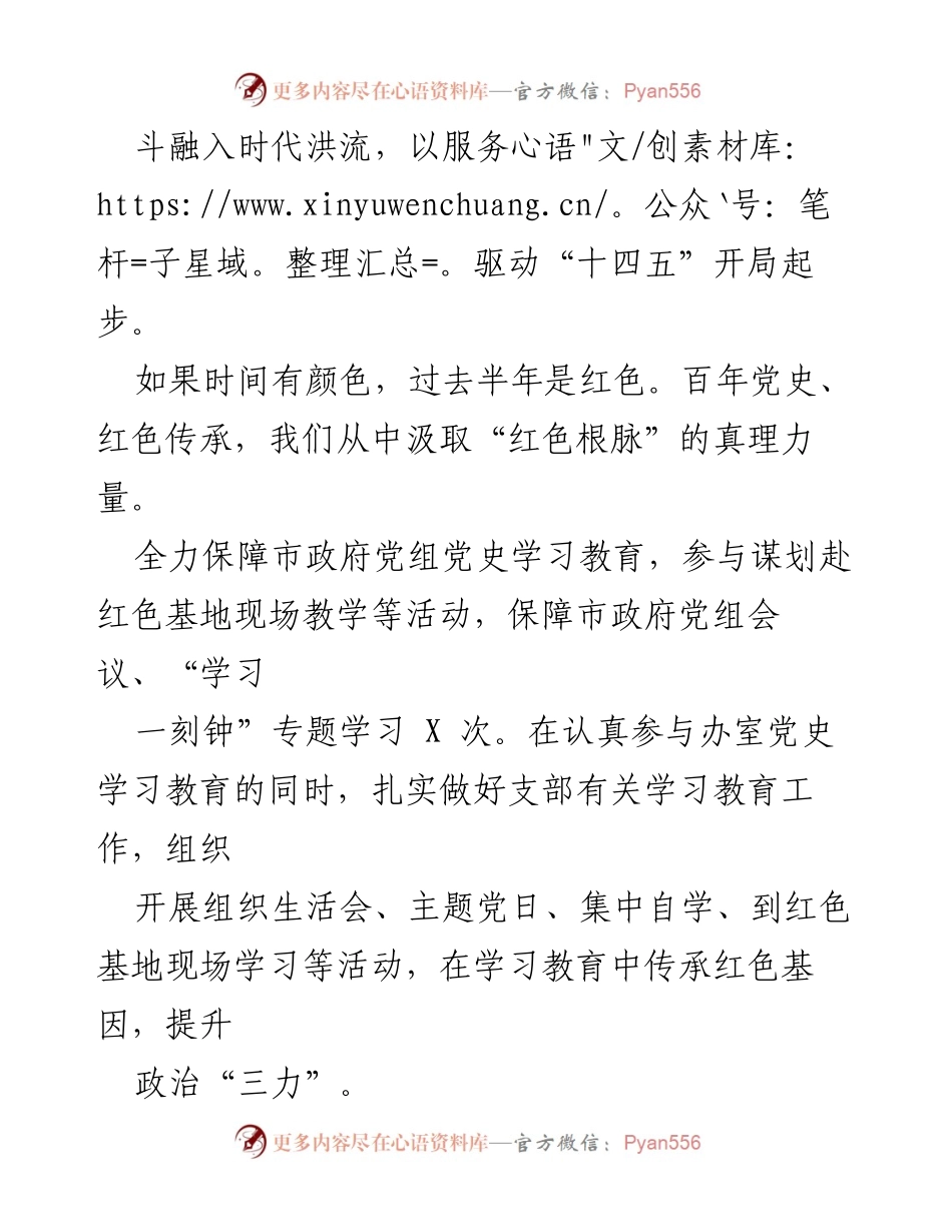 [述职报告] 政府办室 - 半年述职：时间的颜色与奋斗轨迹.docx_第2页