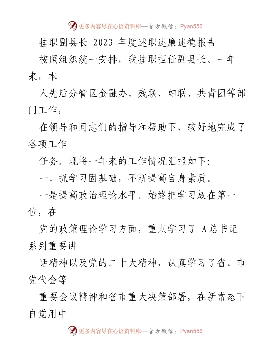 [述职报告] 挂职副县长 - 2023年度工作总结与反思.docx_第1页