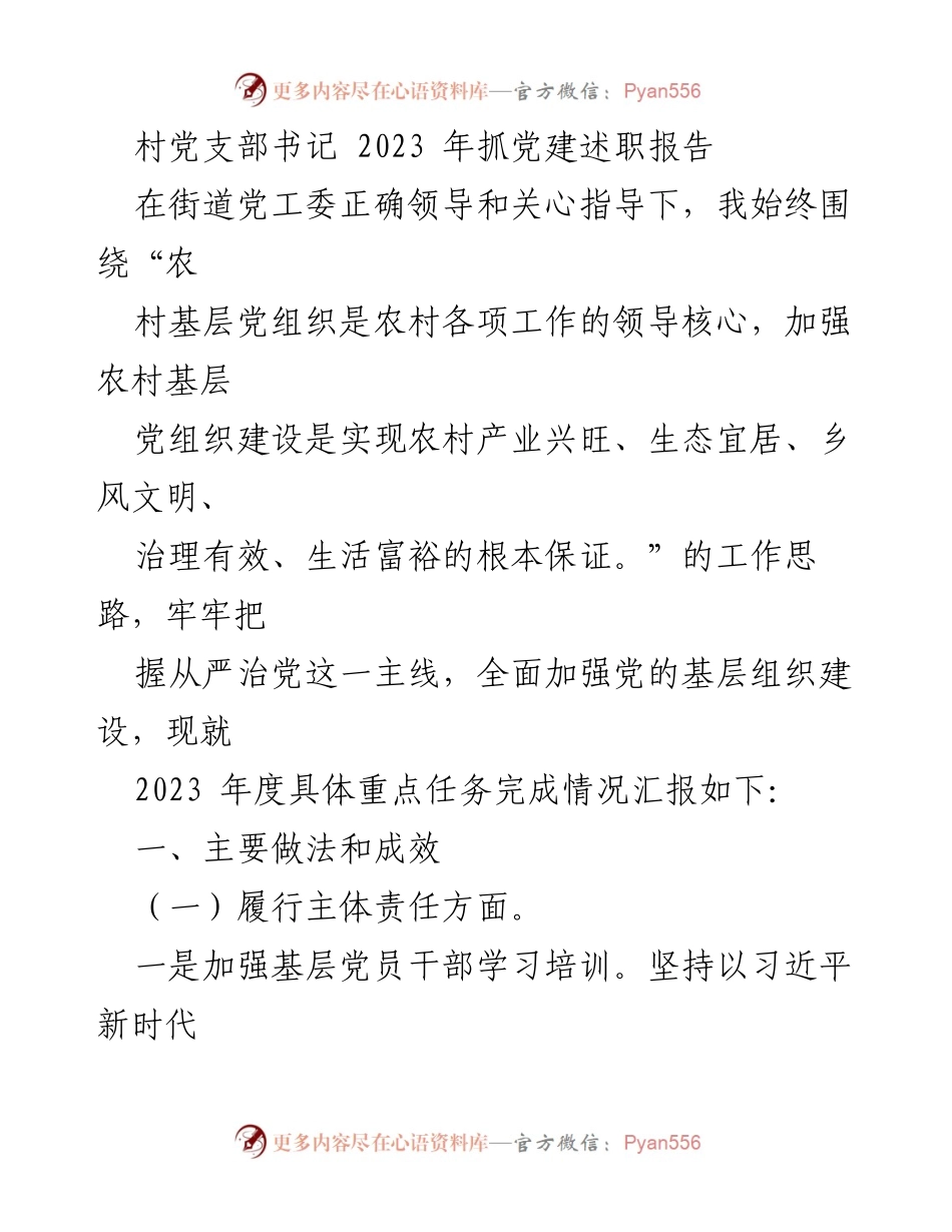 [述职报告] 村党支部 - 2023年度党建工作述职总结.docx_第1页