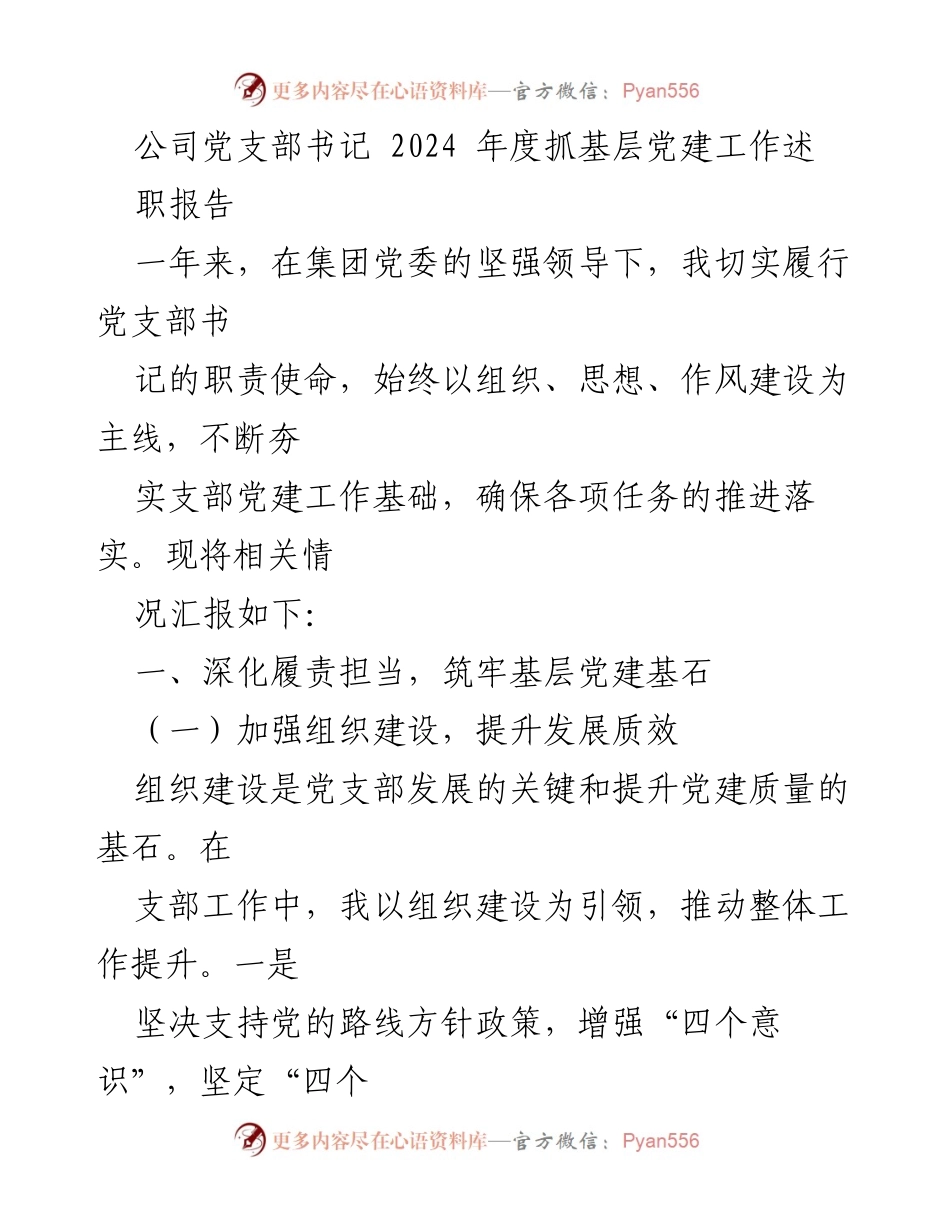 [述职报告] 年度总结 - 2024年度公司党支部书记党建工作述职报告.docx_第1页