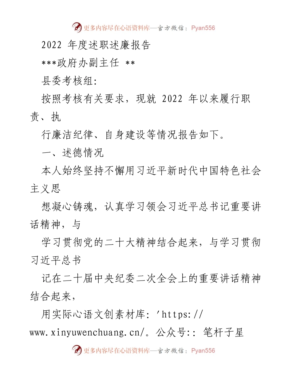 [述职报告] 政府工作 - 2022年度述职述廉报告.docx_第1页
