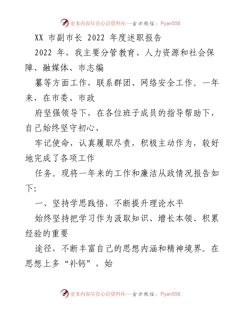[述职报告] 政府工作 - XX市副市长2022年度述职报告.docx_第1页