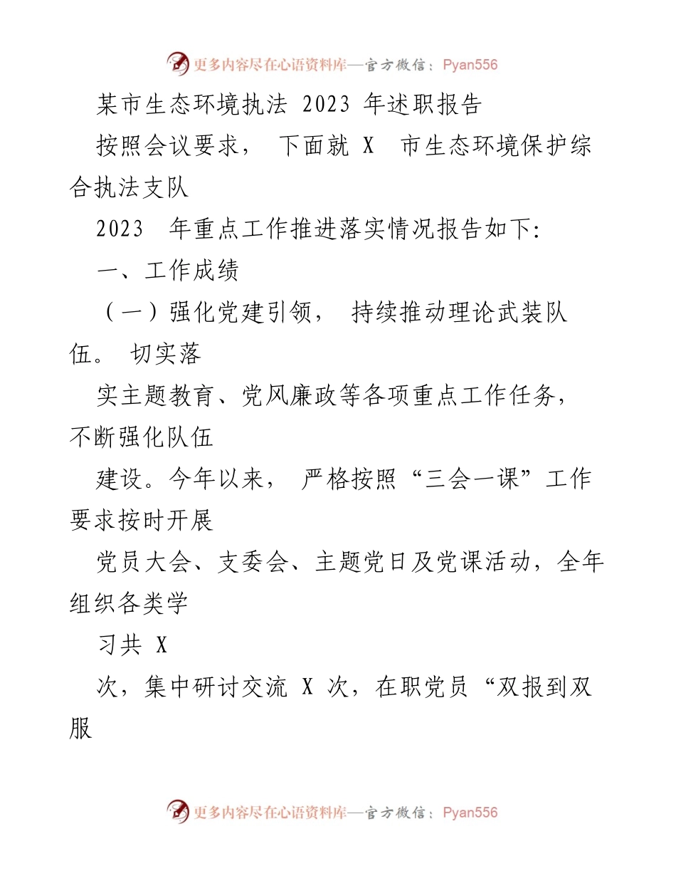 [述职报告] 生态环境执法 - 2023年某市生态环境执法工作述职报告.docx_第1页
