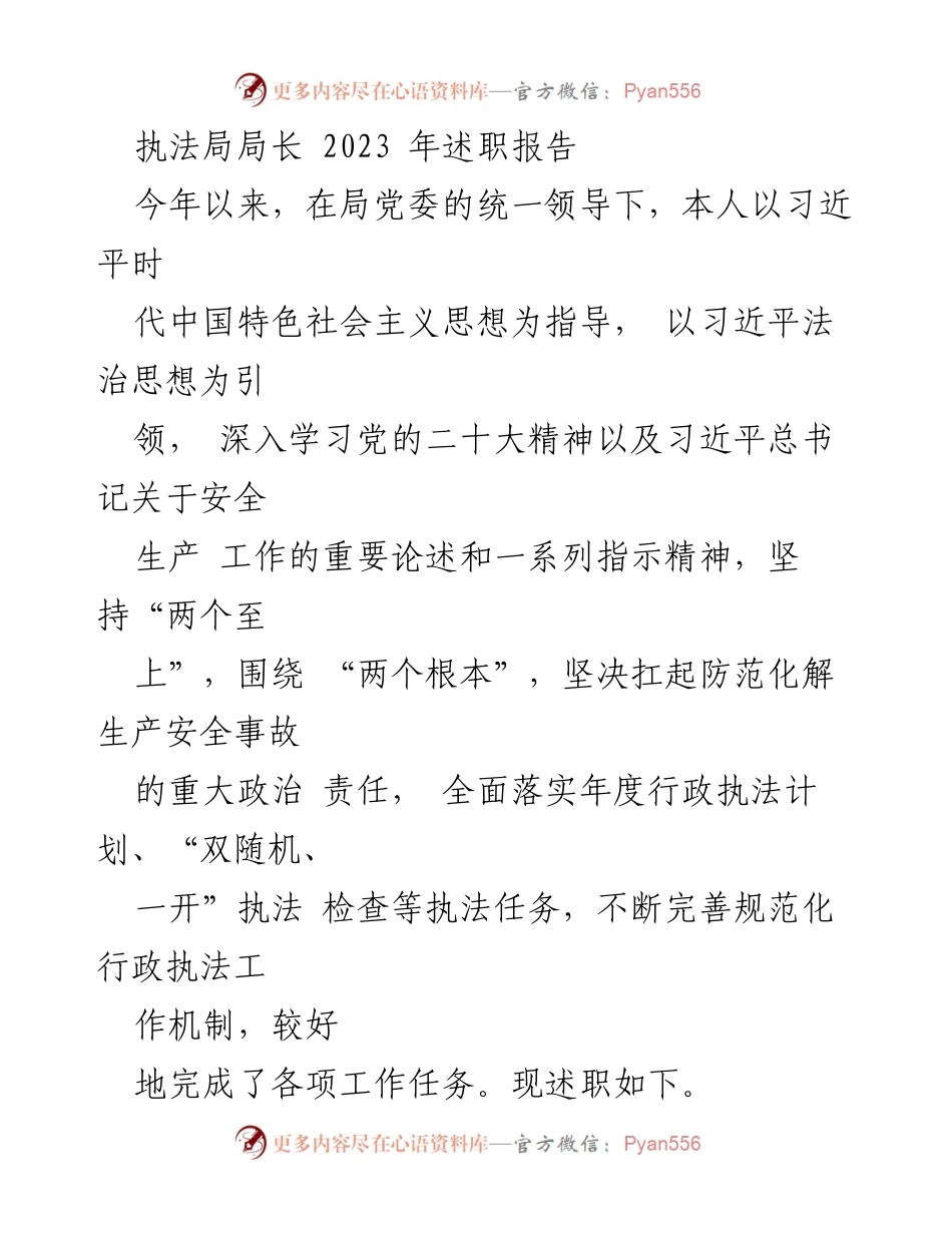 [述职报告] 执法局 - 2023年执法局局长述职报告总结.docx_第1页