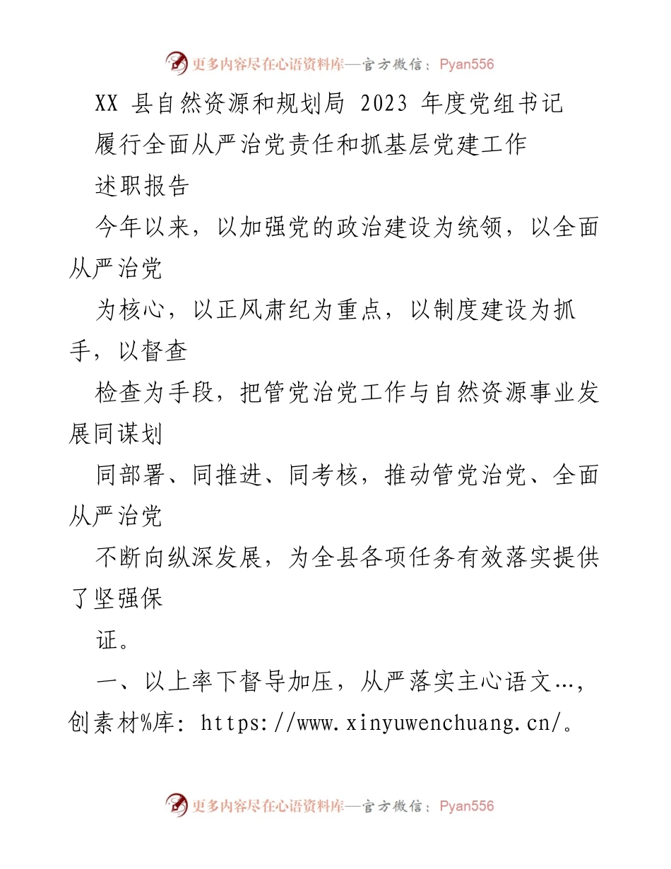 [述职报告] 自然资源和规划局 - 2023年度全面从严治党责任履行与基层党建工作总结.docx_第1页