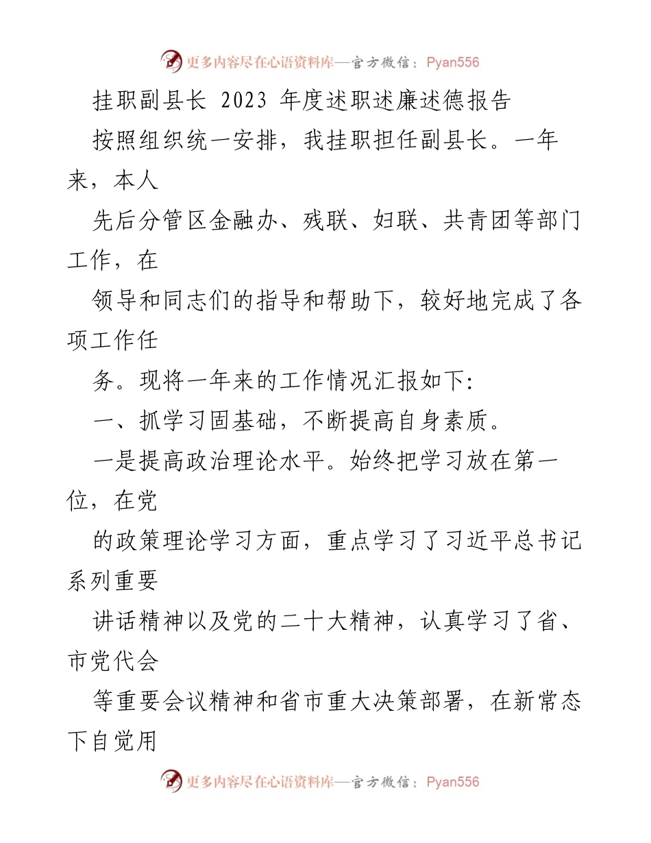 [述职报告] 挂职副县长 - 2023年度挂职副县长述职述廉述德报告_1.docx_第1页