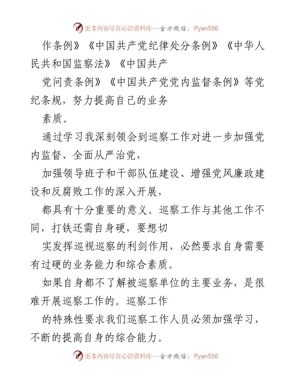 [述职报告] 年度工作总结 - 加强政治理论学习与巡察工作推进总结.docx_第2页