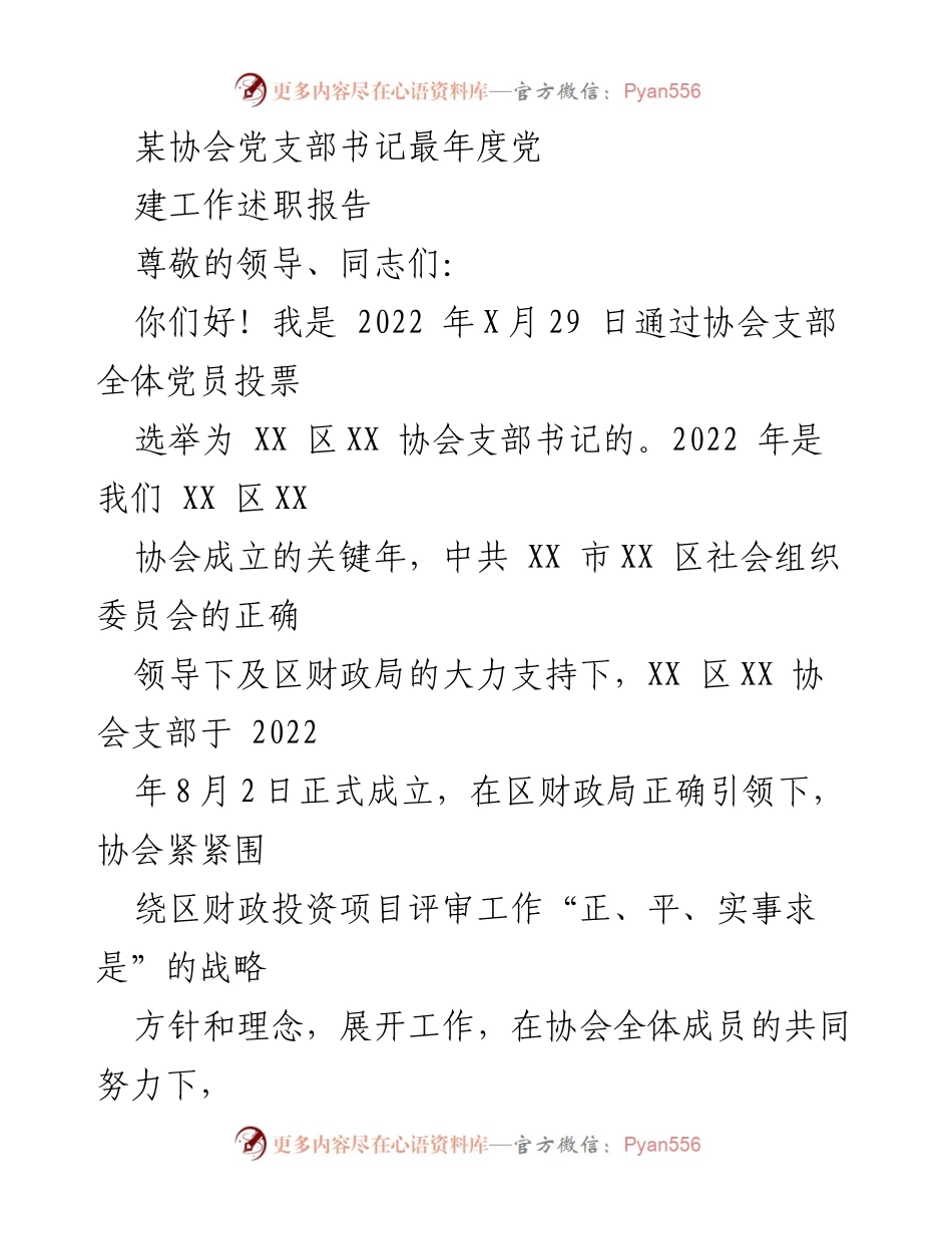 [述职报告] 年度总结 - XX区XX协会党支部书记年度工作述职报告.docx_第1页