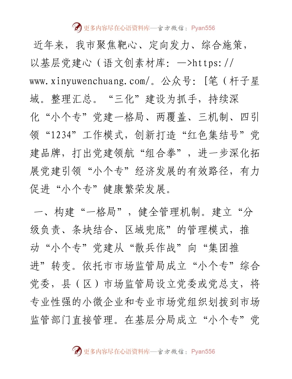 “小个专”党建工作汇报.docx_第1页