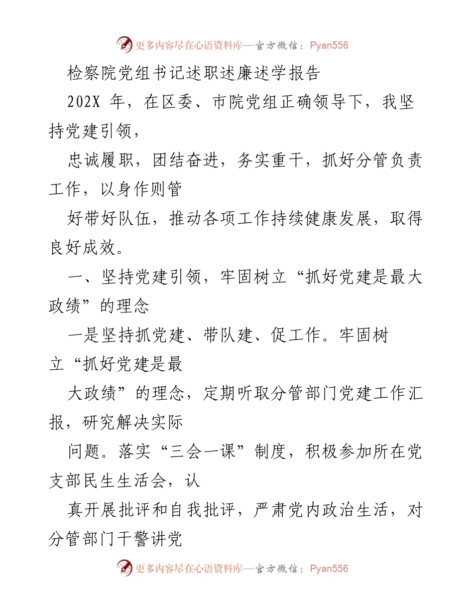 [述职报告] 检察院 - 202X年检察院党组书记述职述廉述学报告.docx_第1页