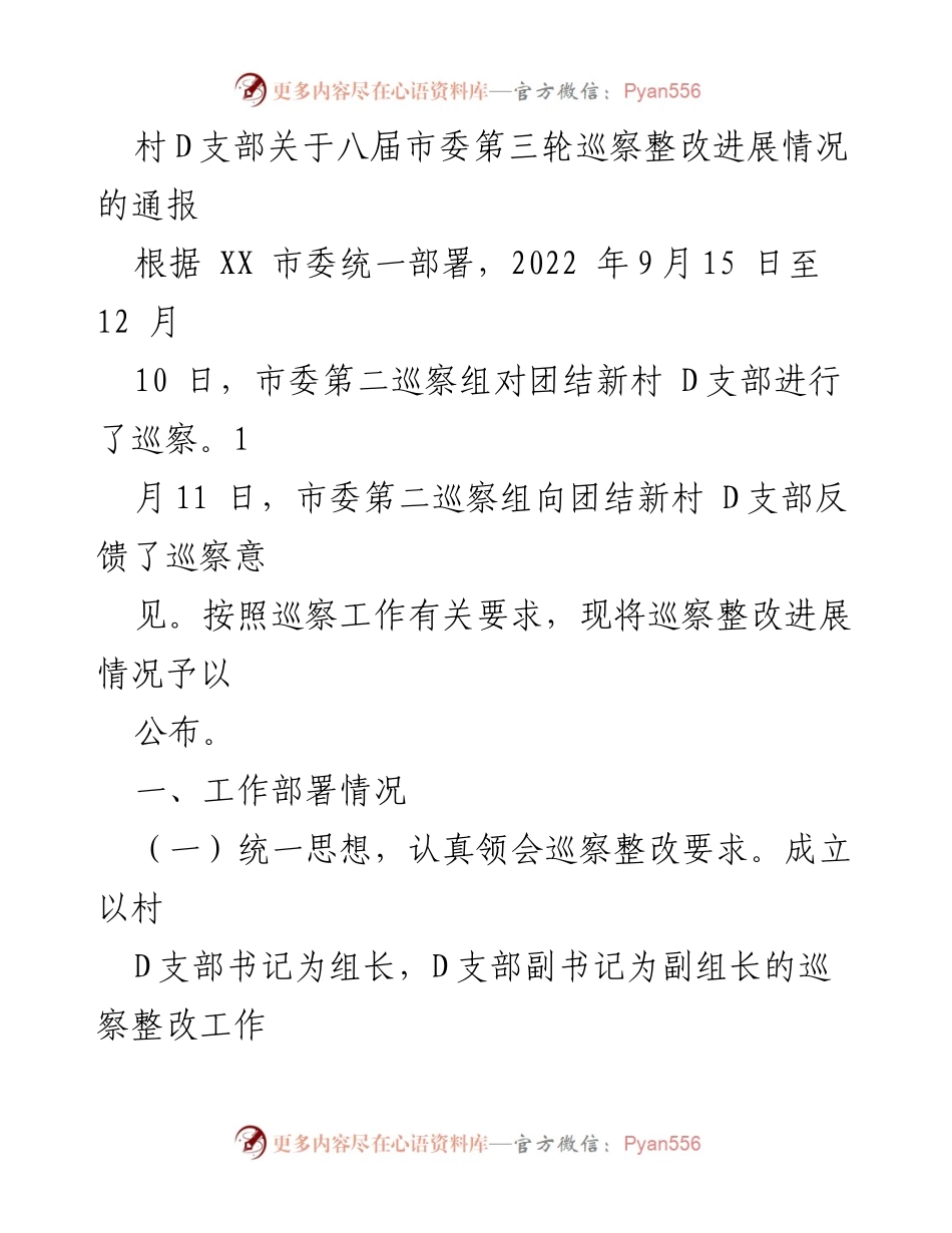 [通报] 巡察整改 - 村D支部巡察整改进展情况通报.docx_第1页