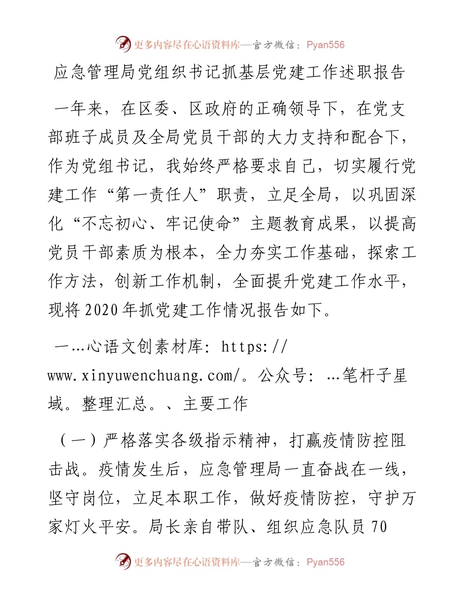 ~应急管理局党组织书记抓基层党建工作述职报告.docx_第1页