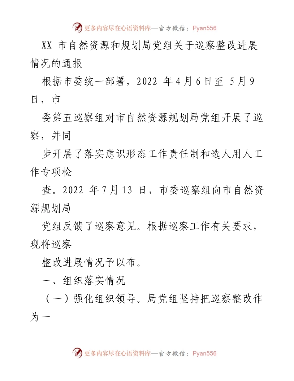 [通报] 巡察整改 - 市自然资源和规划局巡察整改进展情况通报.docx_第1页