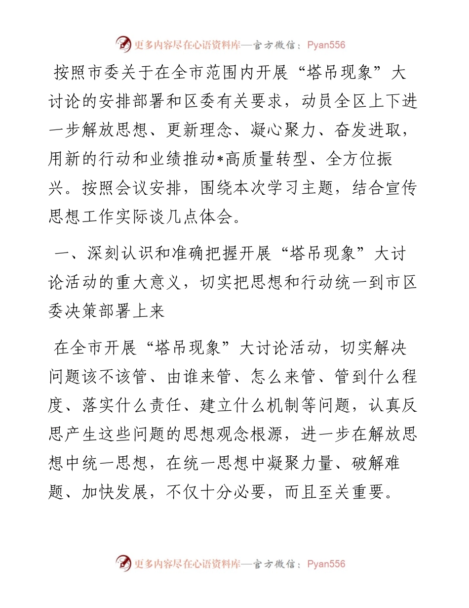 “塔吊现象”大讨论专题研讨发言提纲.docx_第1页