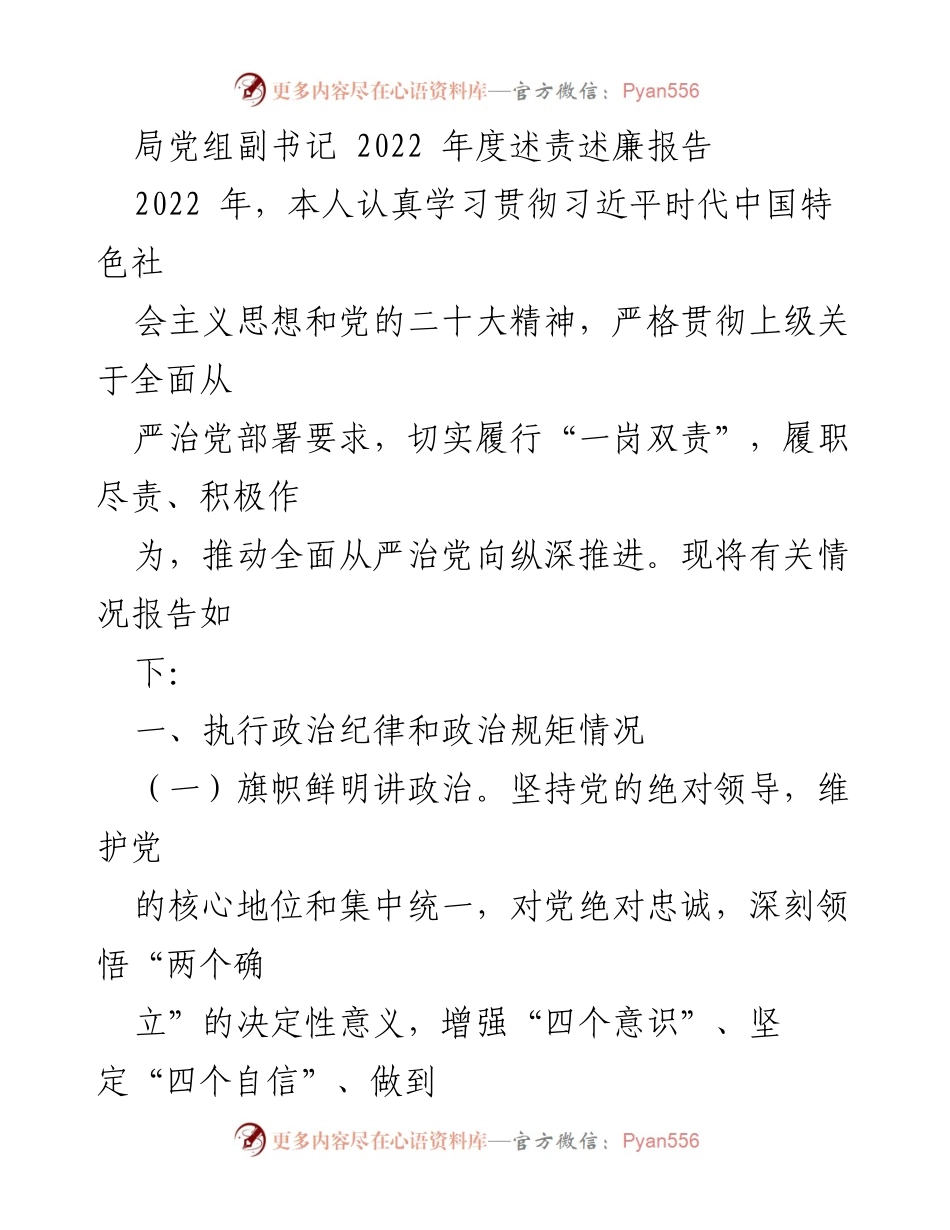 [述责述廉报告] 年度工作总结 - 2022年度局党组副书记述责述廉报告.docx_第1页