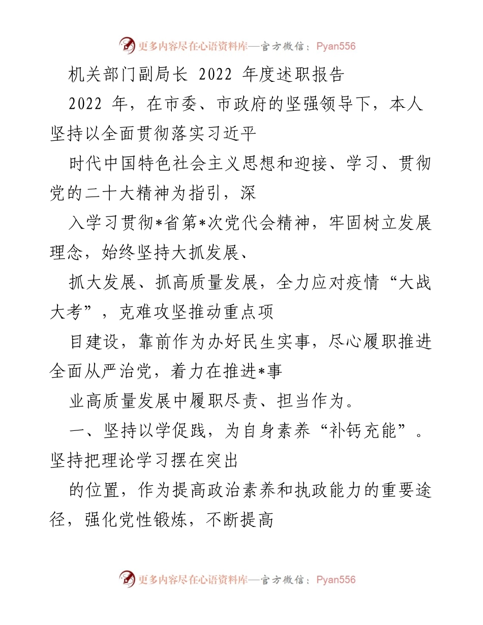 [述职报告] 机关部门 - 2022年度副局长述职总结.docx_第1页