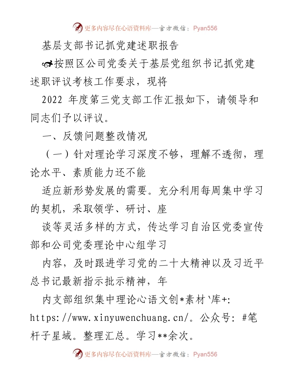 [述职报告] 基层党建 - 2022年度第三党支部党建工作述职报告_1.docx_第1页
