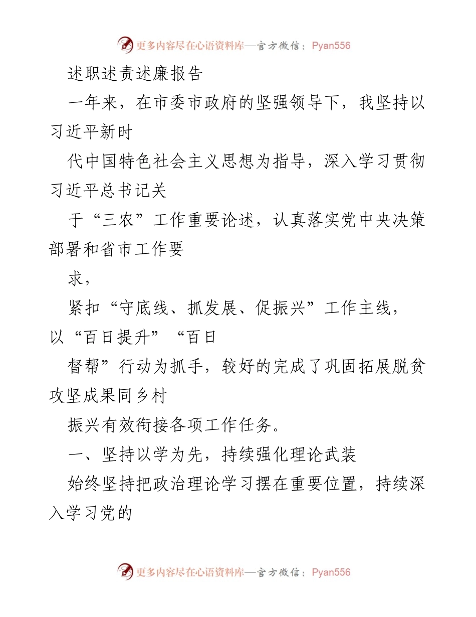 [述职报告] 年度工作总结 - 坚守底线，推动乡村振兴的实践与成效.docx_第1页