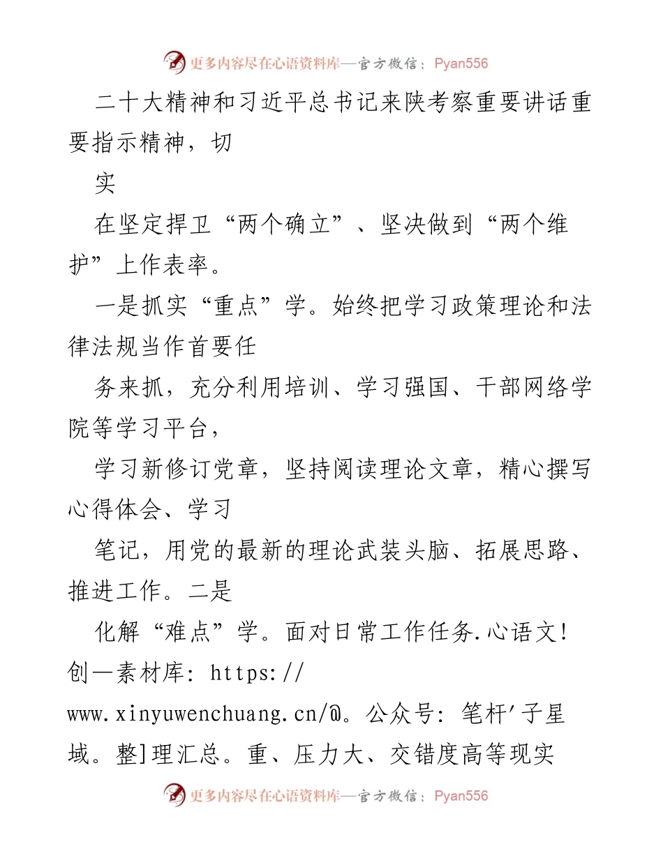 [述职报告] 年度工作总结 - 坚守底线，推动乡村振兴的实践与成效.docx_第2页