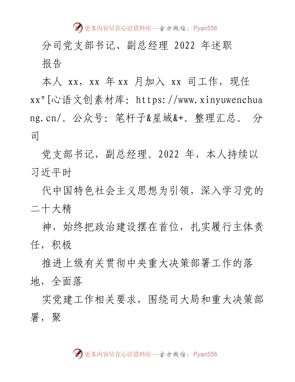 [述职报告] 年度工作总结 - 2022年分司党支部书记述职报告.docx_第1页