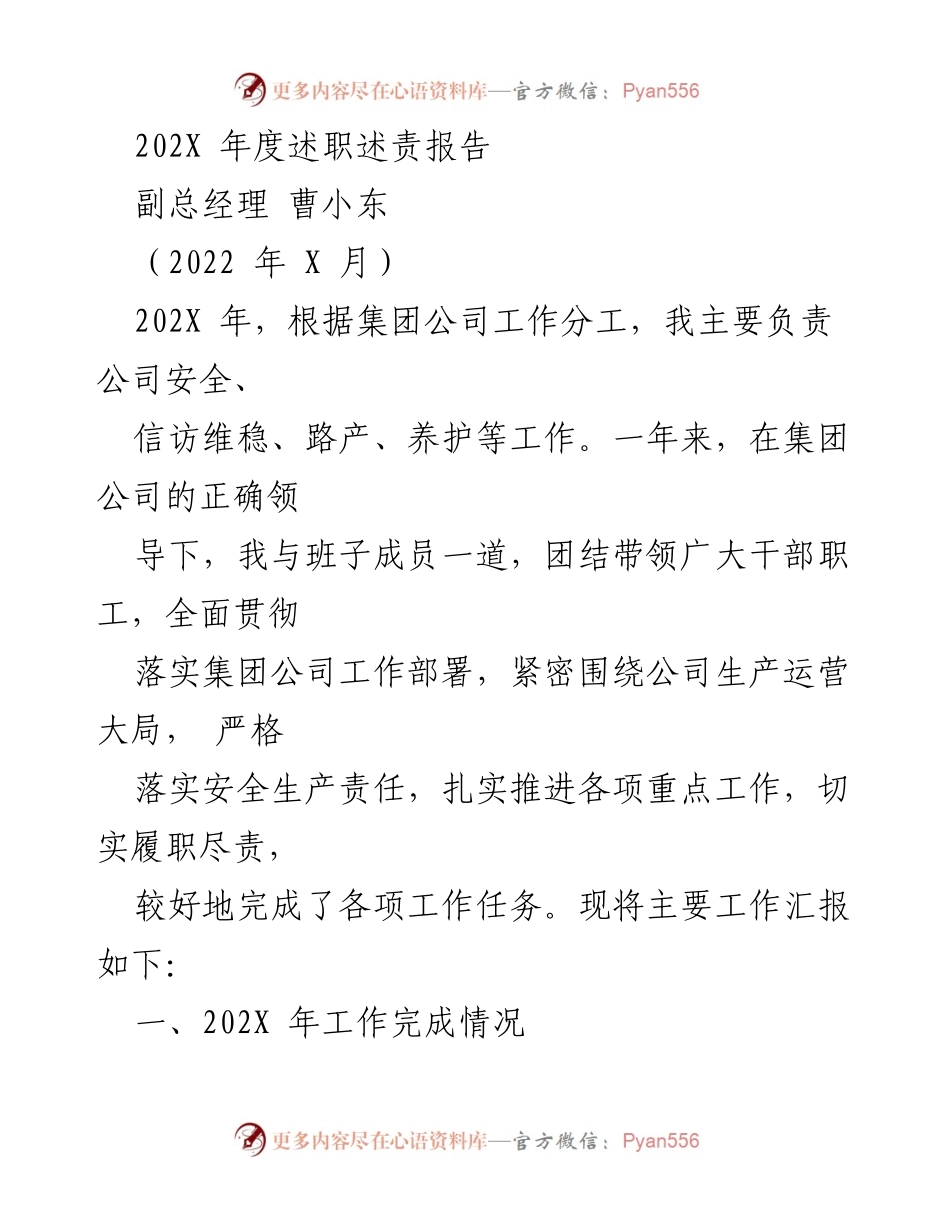 [述职报告] 年度工作总结 - 202X年度副总经理述职述责报告.docx_第1页
