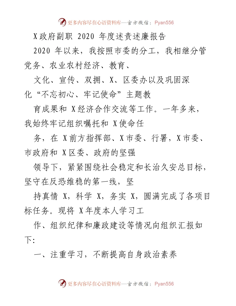 [述责述廉报告] 政府年度总结 - 2020年度副职述责述廉报告.docx_第1页