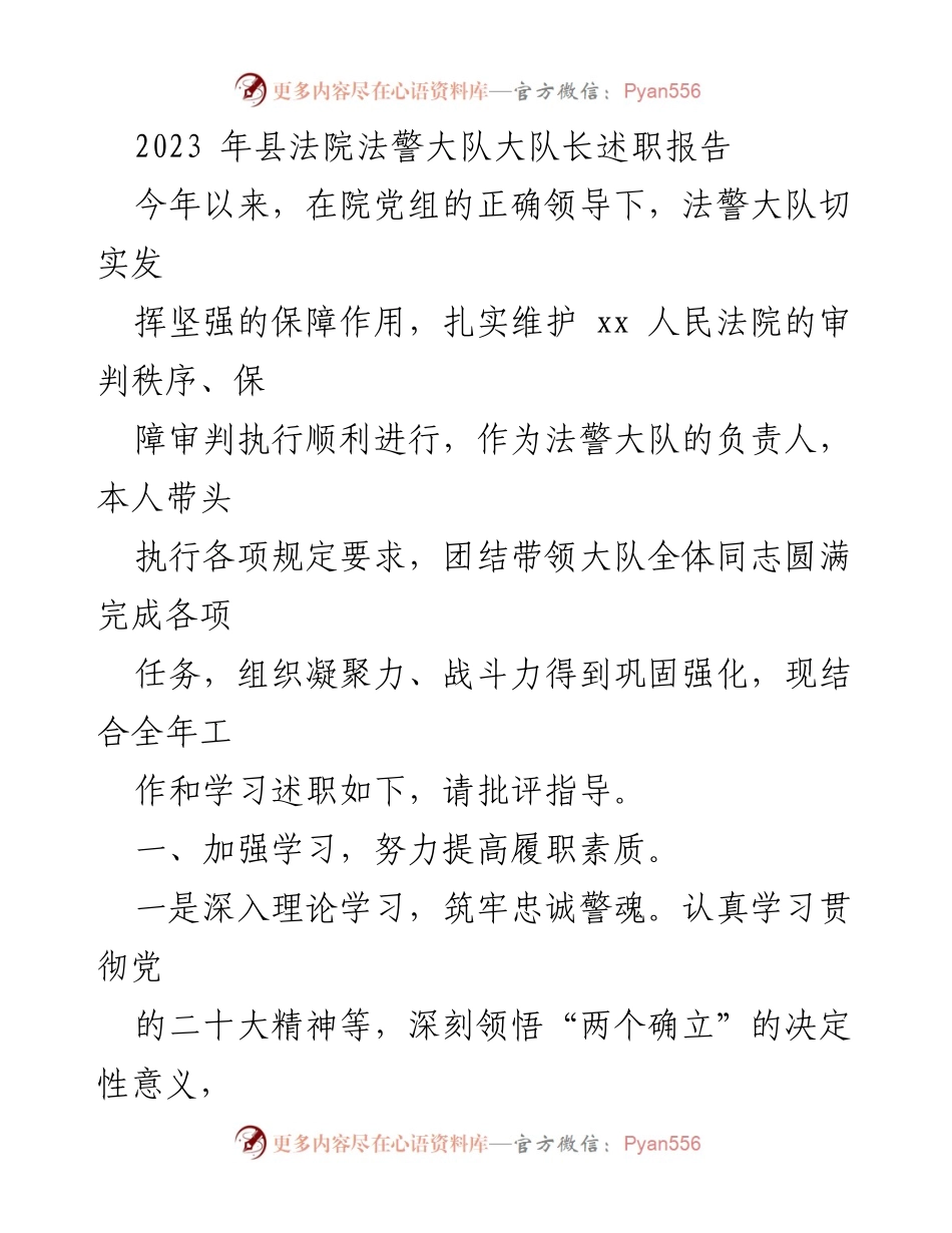 [述职报告] 法院工作 - 法警大队长年度述职总结.docx_第1页