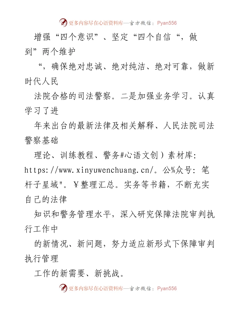 [述职报告] 法院工作 - 法警大队长年度述职总结.docx_第2页