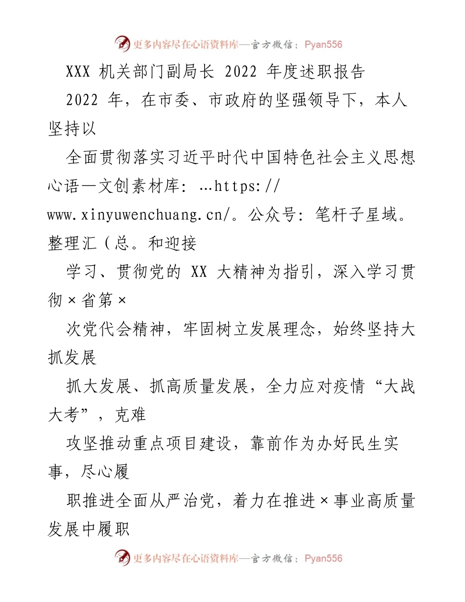 [述职报告] 机关部门 - 2022年度副局长述职报告总结.docx_第1页