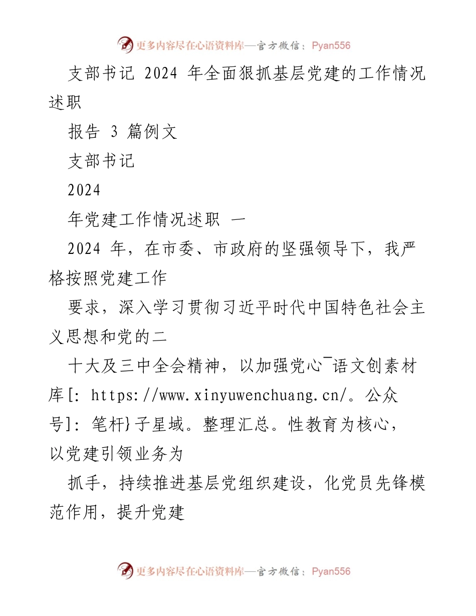 [述职报告] 基层党建 - 2024年支部书记基层党建工作情况述职报告.docx_第1页