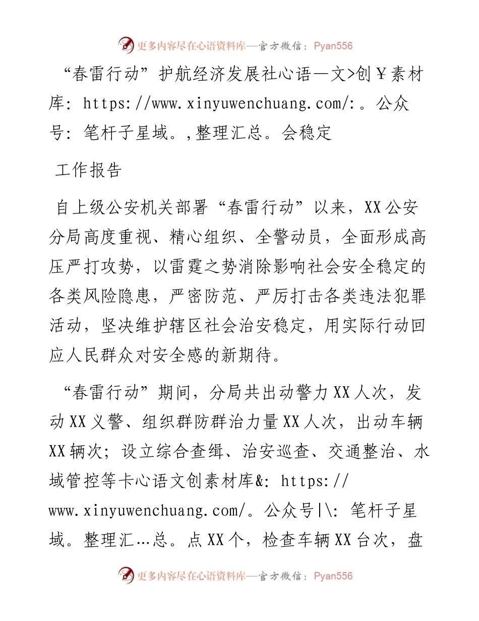 “春雷行动”护航经济发展社会稳定工作报告.docx_第1页