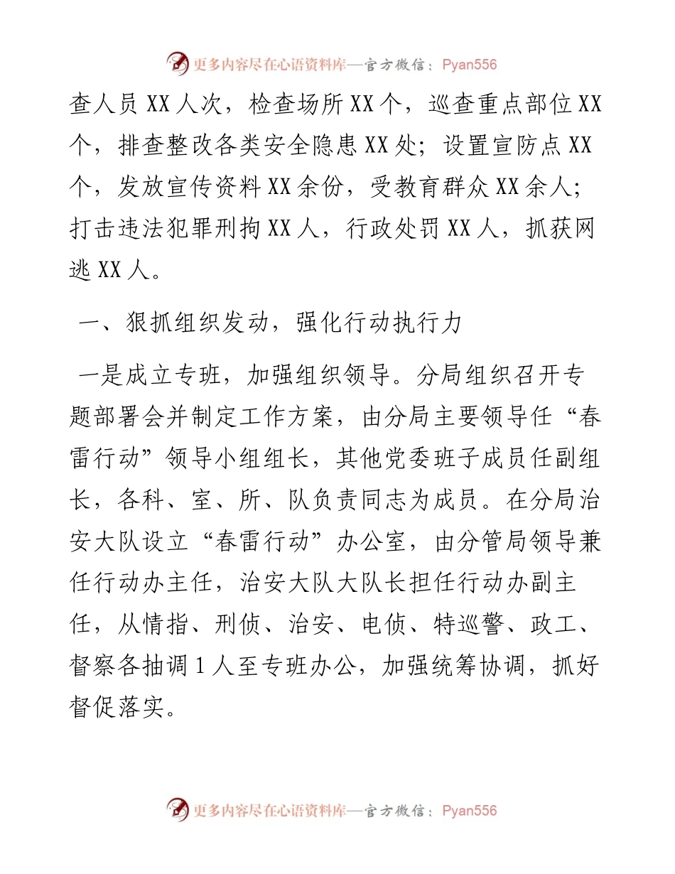 “春雷行动”护航经济发展社会稳定工作报告.docx_第2页