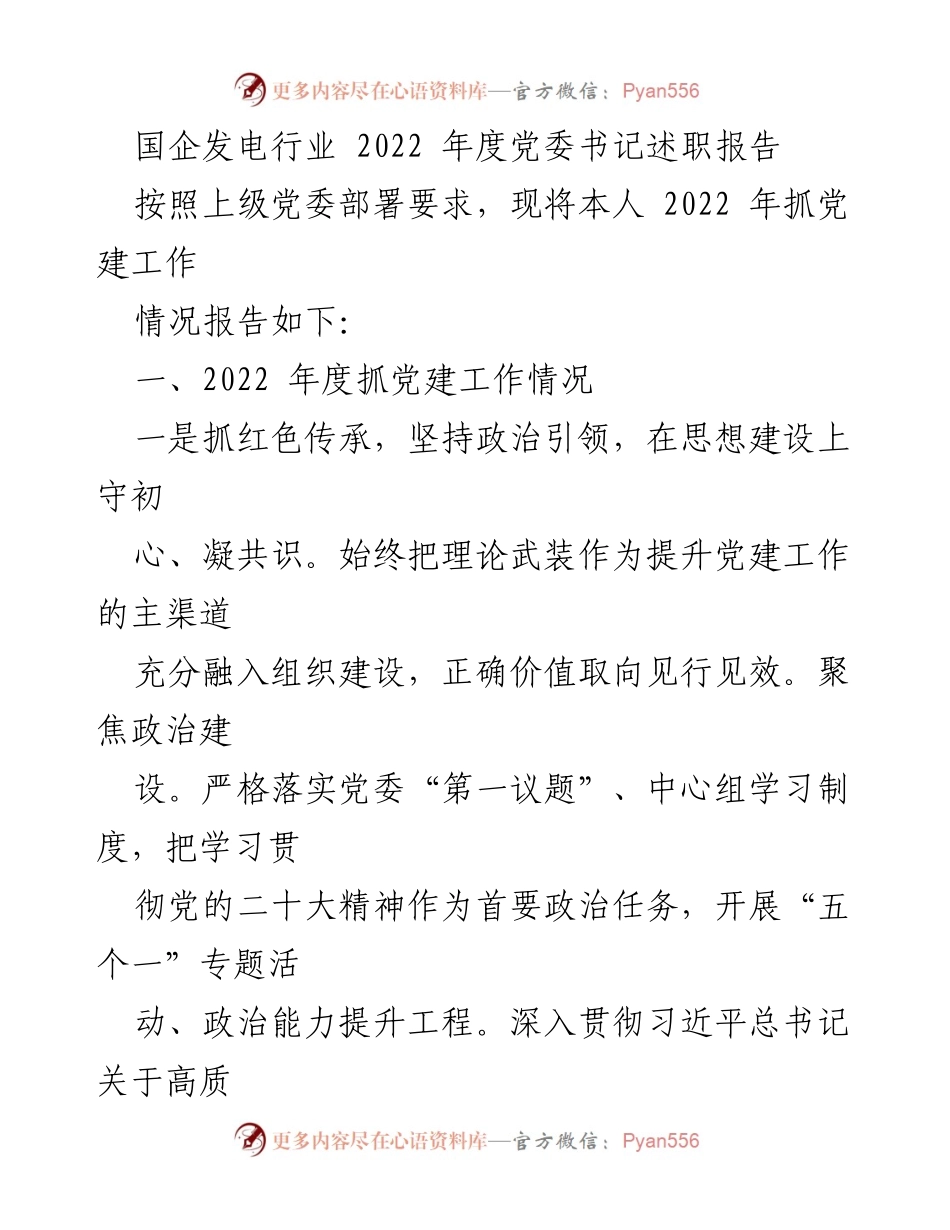 [述职报告] 国企发电行业 - 2022年度党委书记党建工作述职总结.docx_第1页