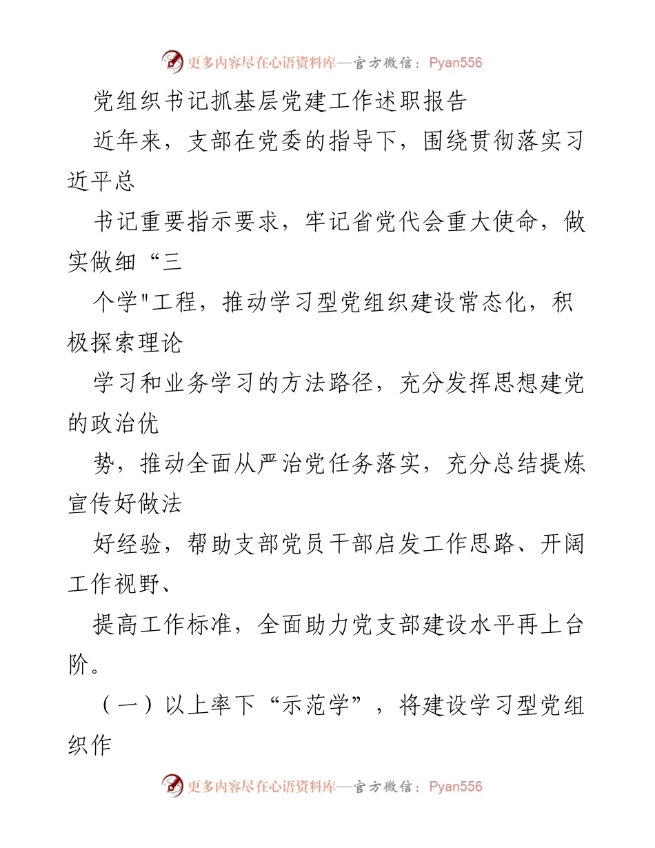 [述职报告] 基层党建工作 - 党组织书记述职报告：推动学习型党组织建设的实践与成效.docx_第1页