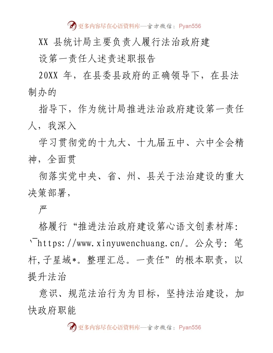 [述责述职报告] 法治政府建设 - XX县统计局法治建设述责述职报告.docx_第1页