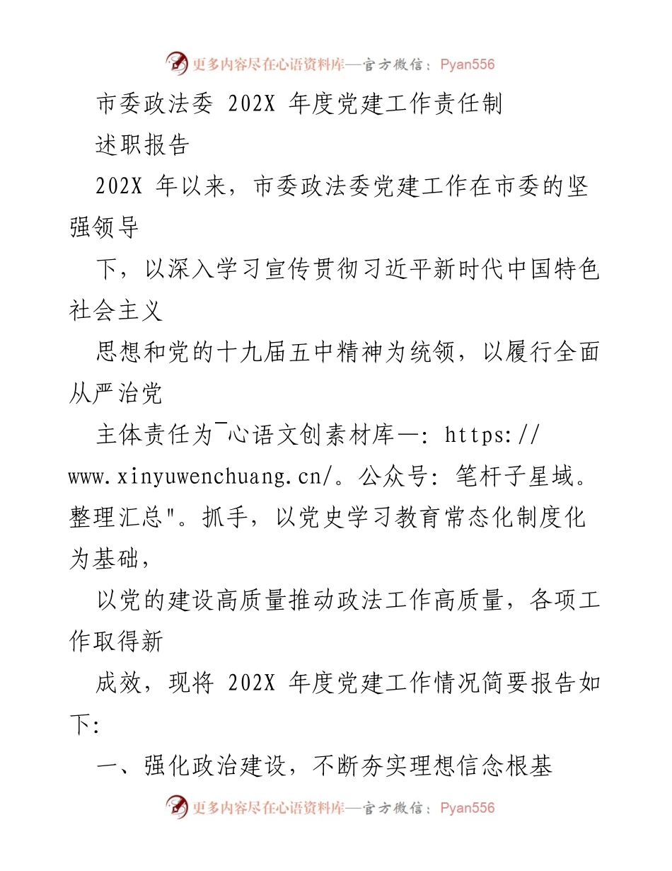 [述职报告] 市委政法委年度总结 - 202X 年度党建工作责任制述职报告.docx_第1页