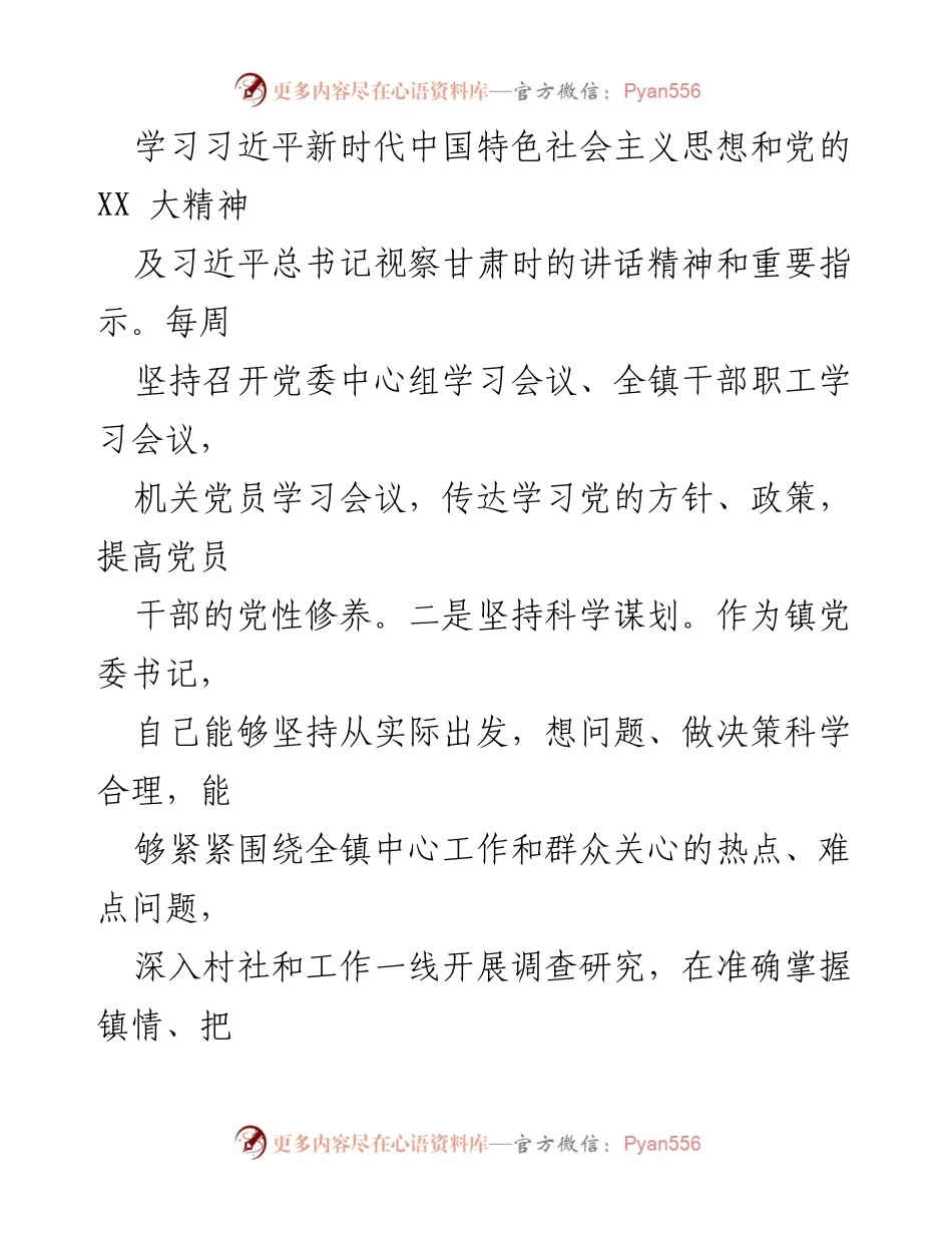 [述职报告] 镇党委书记述职 - 2023年度镇党委书记述职报告.docx_第2页