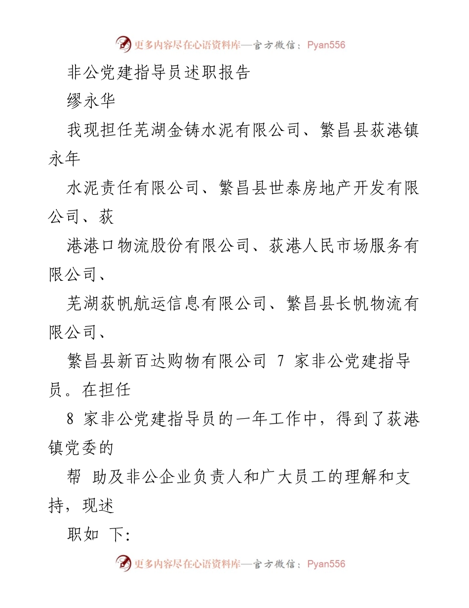 [述职报告] 非公党建工作 - 非公党建指导员年度述职总结.docx_第1页