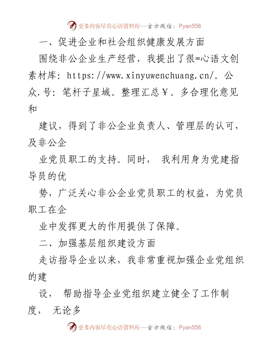 [述职报告] 非公党建工作 - 非公党建指导员年度述职总结.docx_第2页